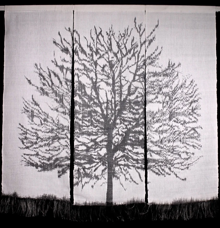 Tree in Fog 2.jpg