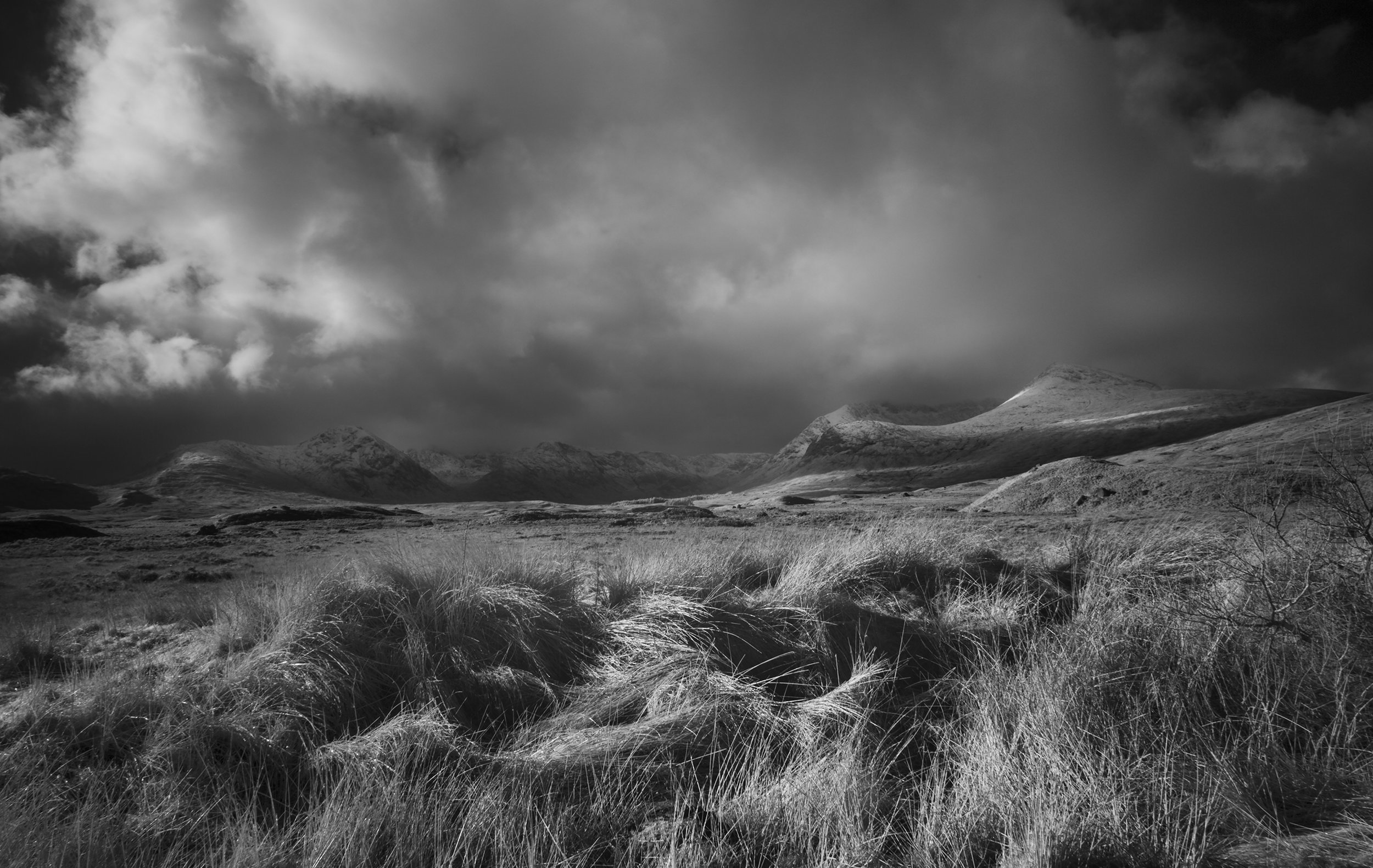 TedLight on the Moor.jpg