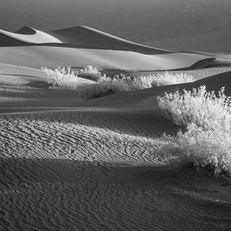Death Valley Dunes I