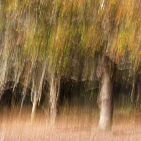 Autumn Palette 