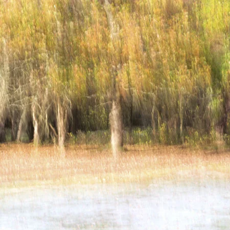 The Seasons Turn