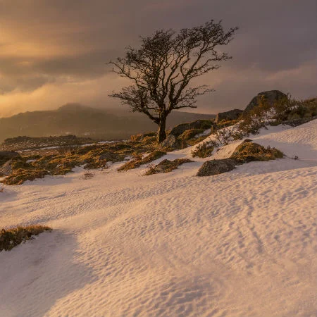 Winters Spell
