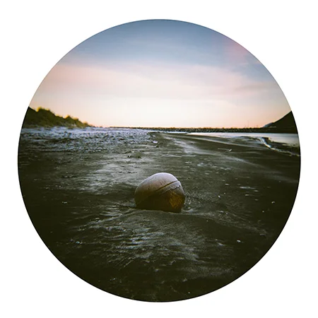 Holga Circle 8
