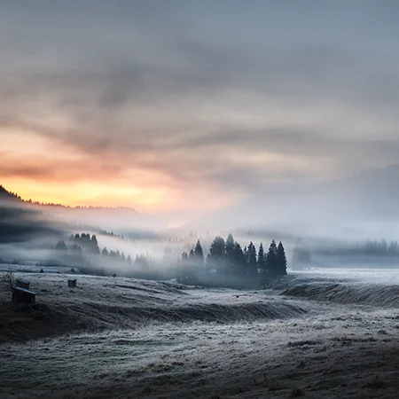Blue Frost