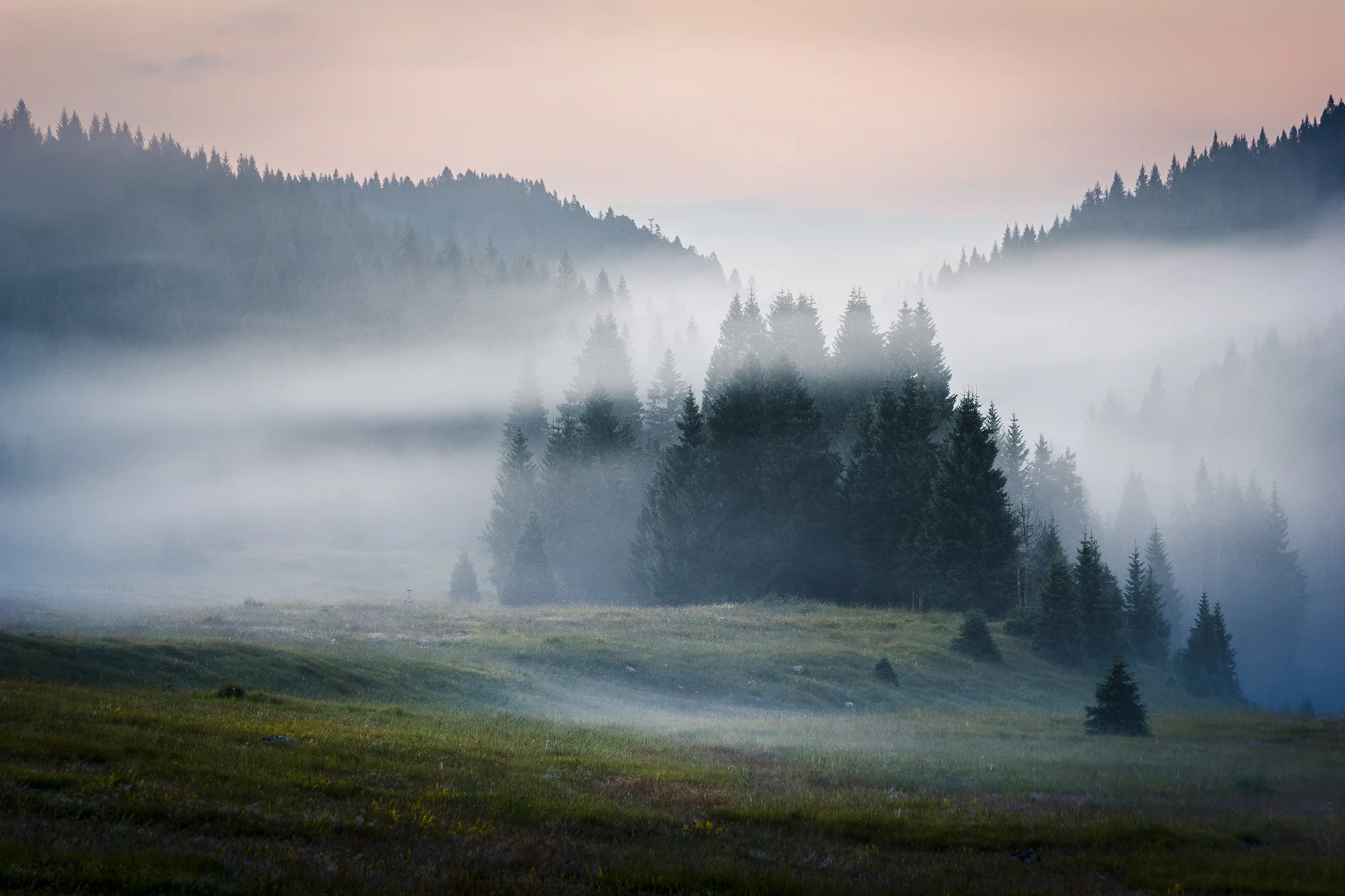 07 pretty little forest.jpg