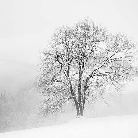 Snow White