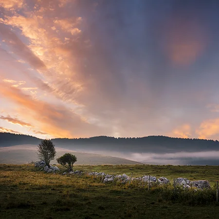 Morning Clouds