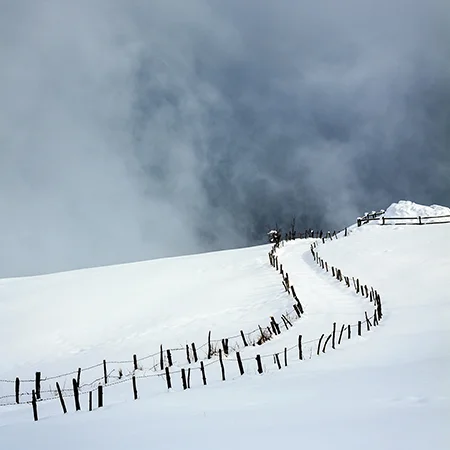 Frozen Fence