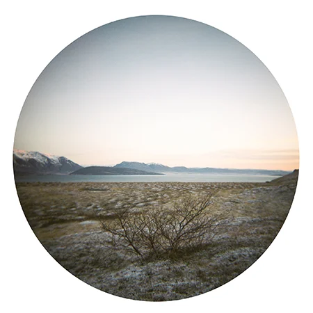 Holga Circle 9