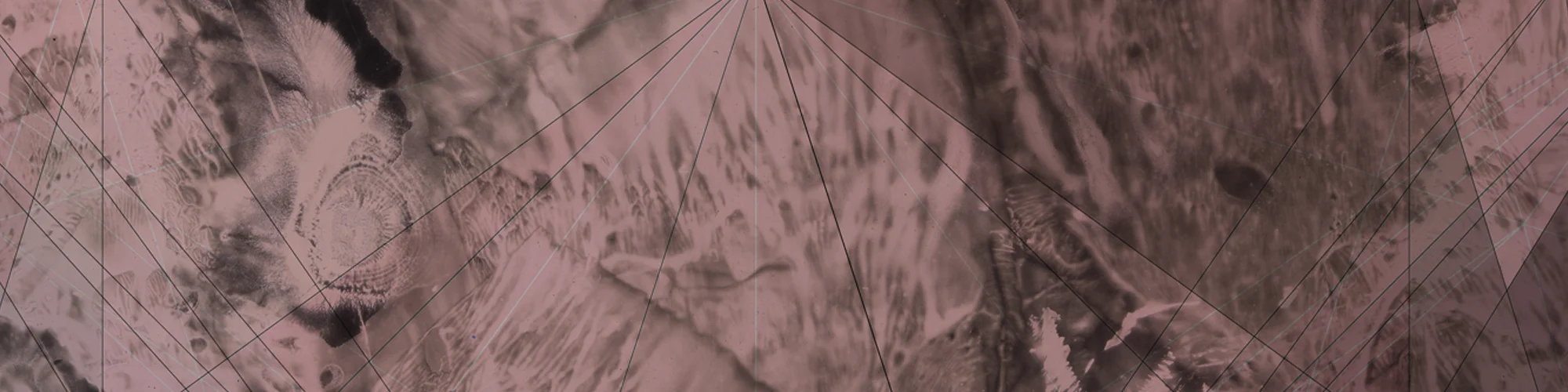 WWHOT-banner.jpg
