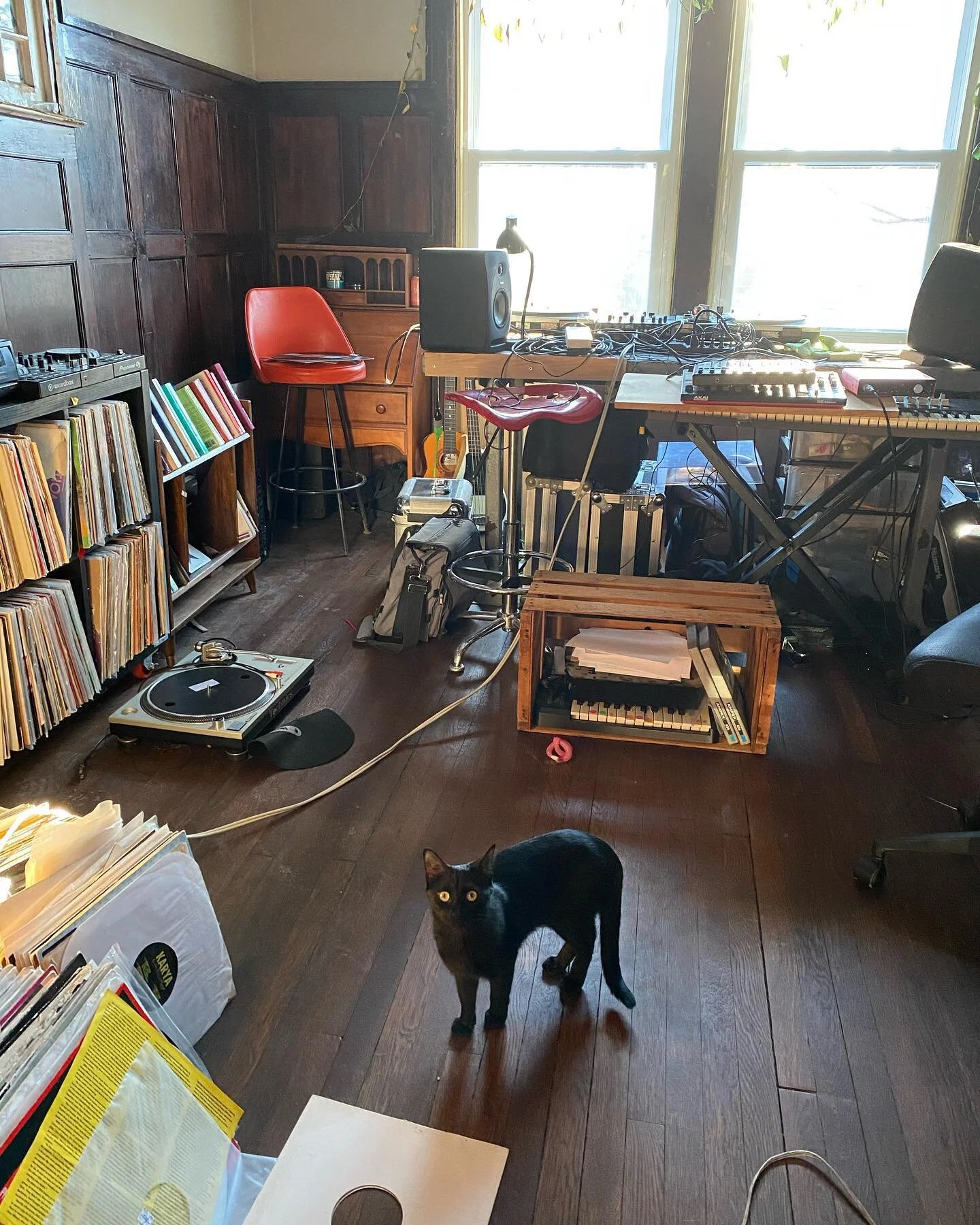 studio friends @charlestrees @dezandresmahogani @koltay