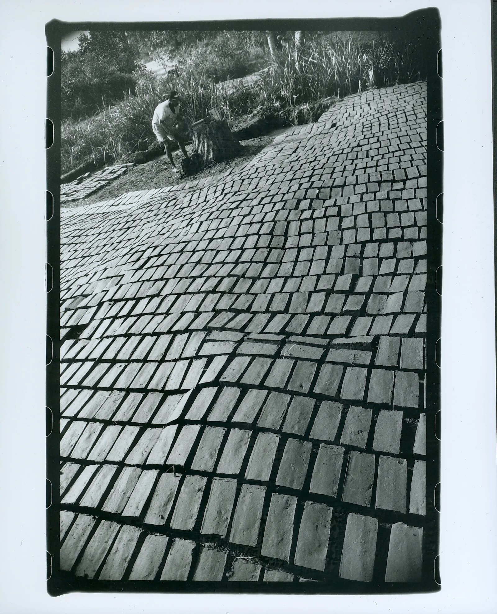 scan0027.jpg