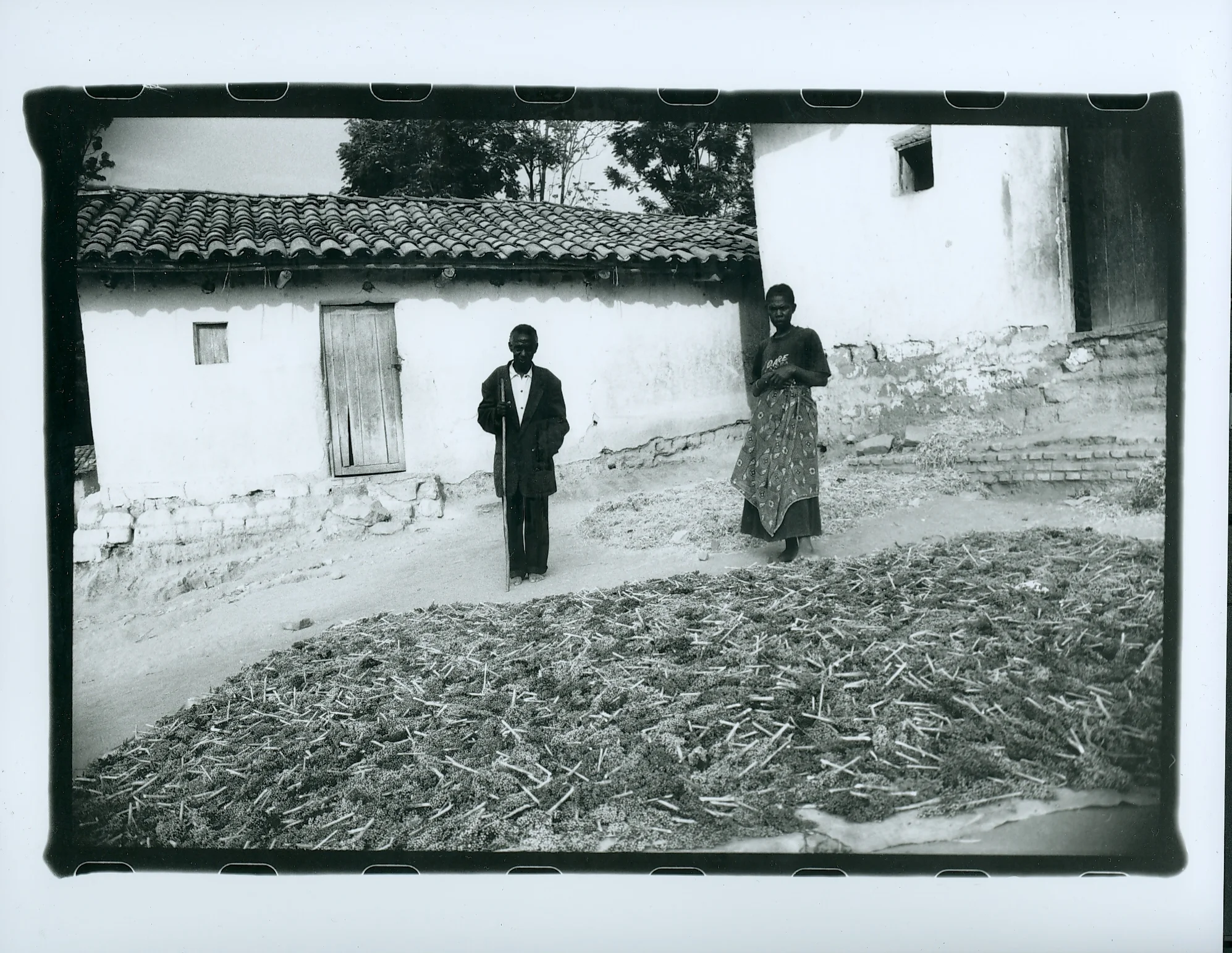 scan0051.jpg
