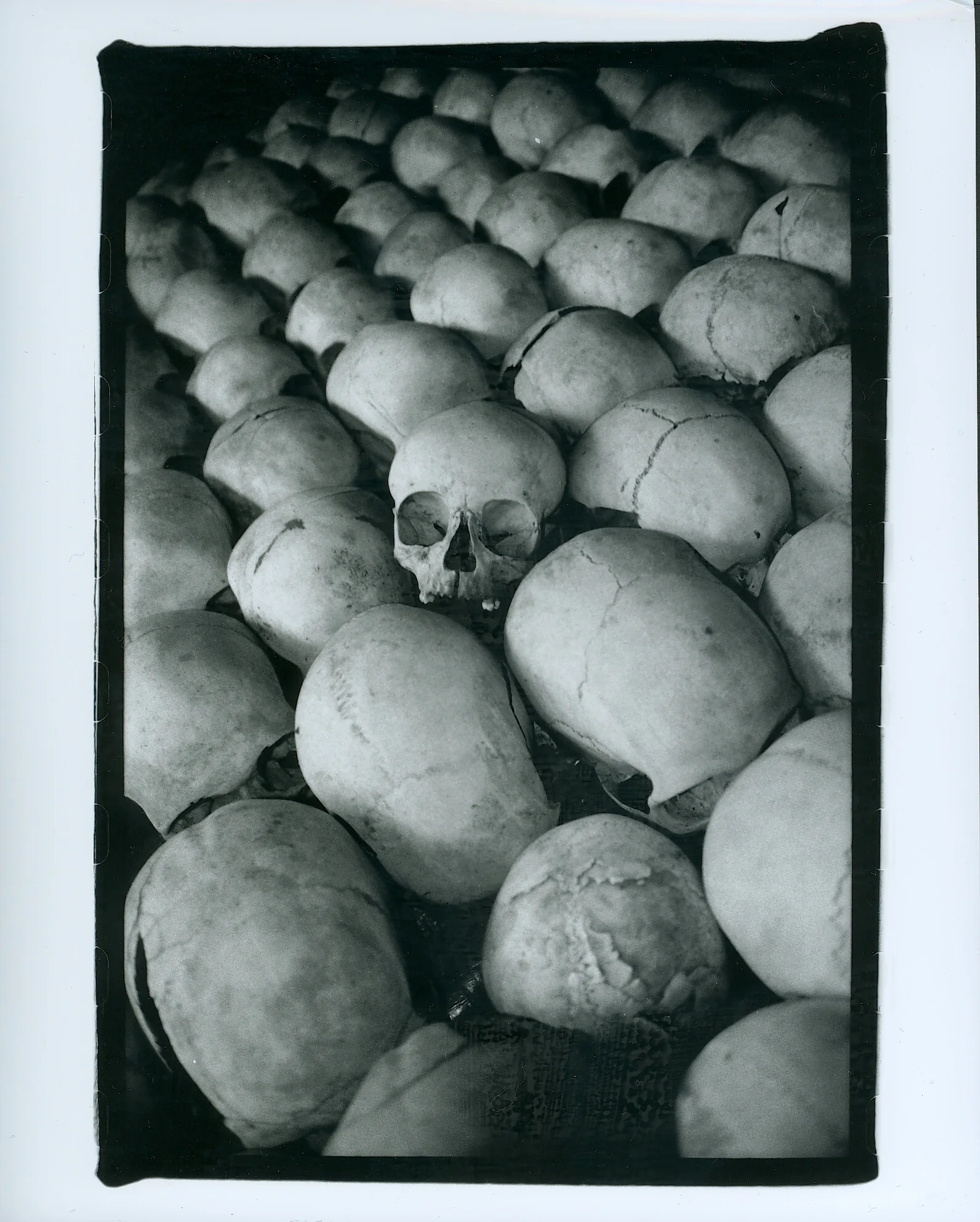 scan0009.jpg