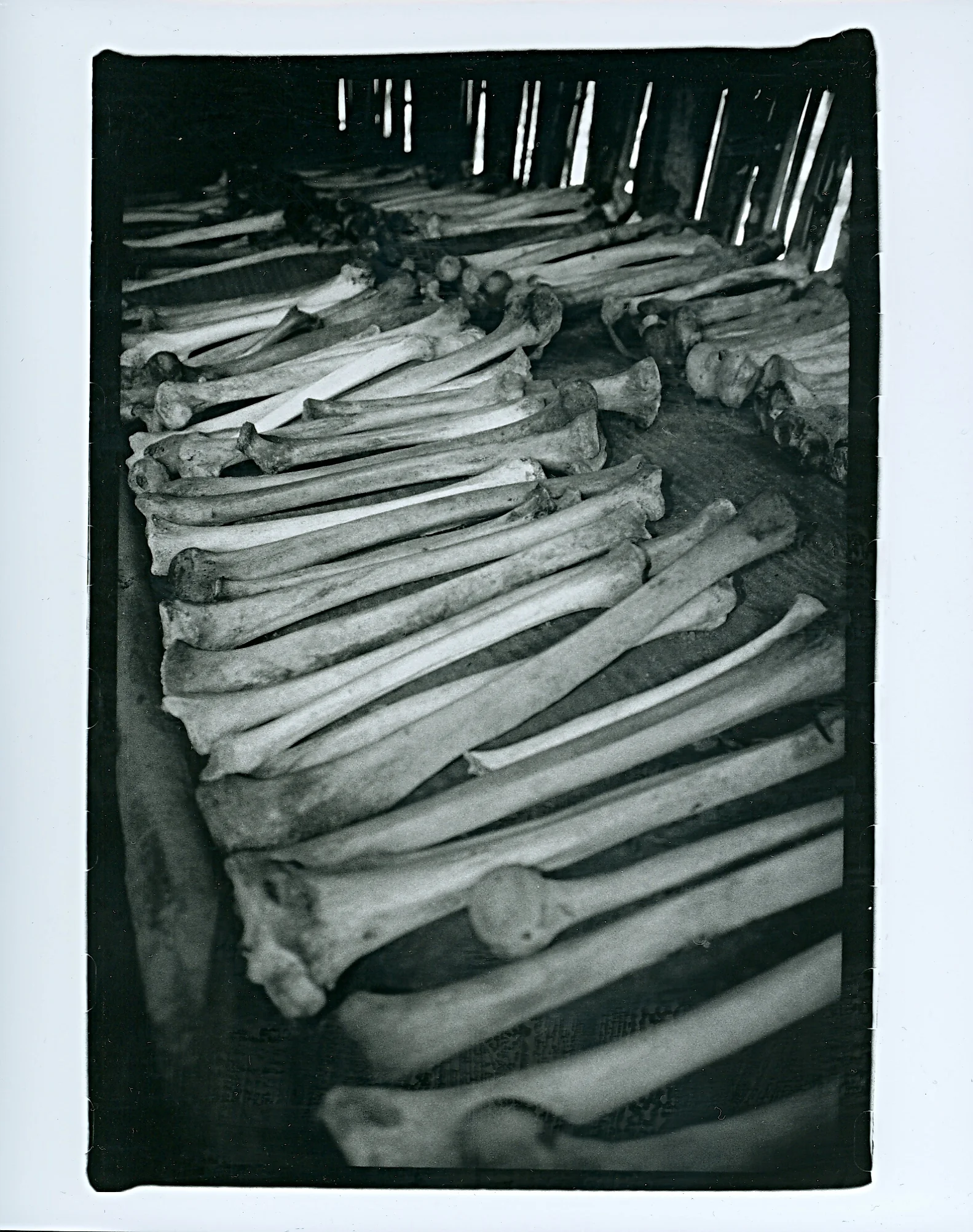 scan0010.jpg