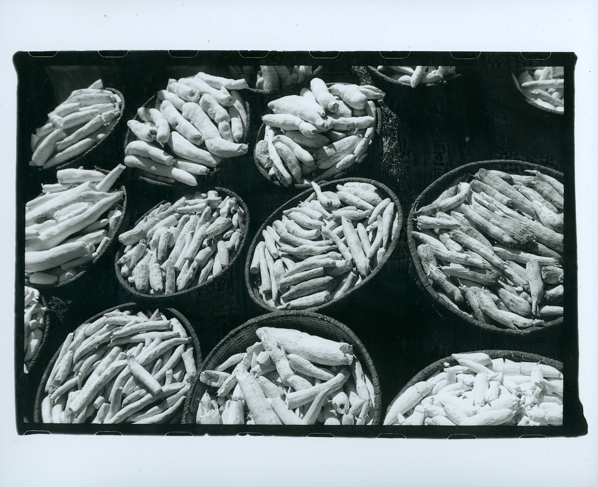 scan0018.jpg