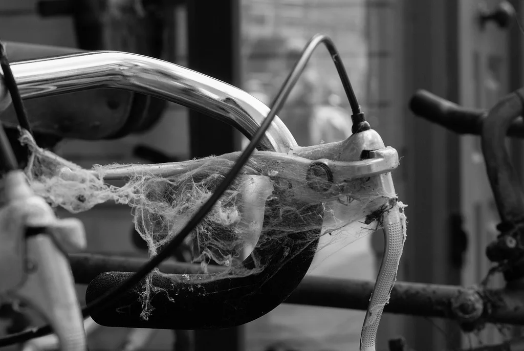 cobweb.jpg