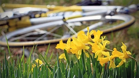 springcycling.jpg