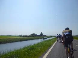 Fens.jpg