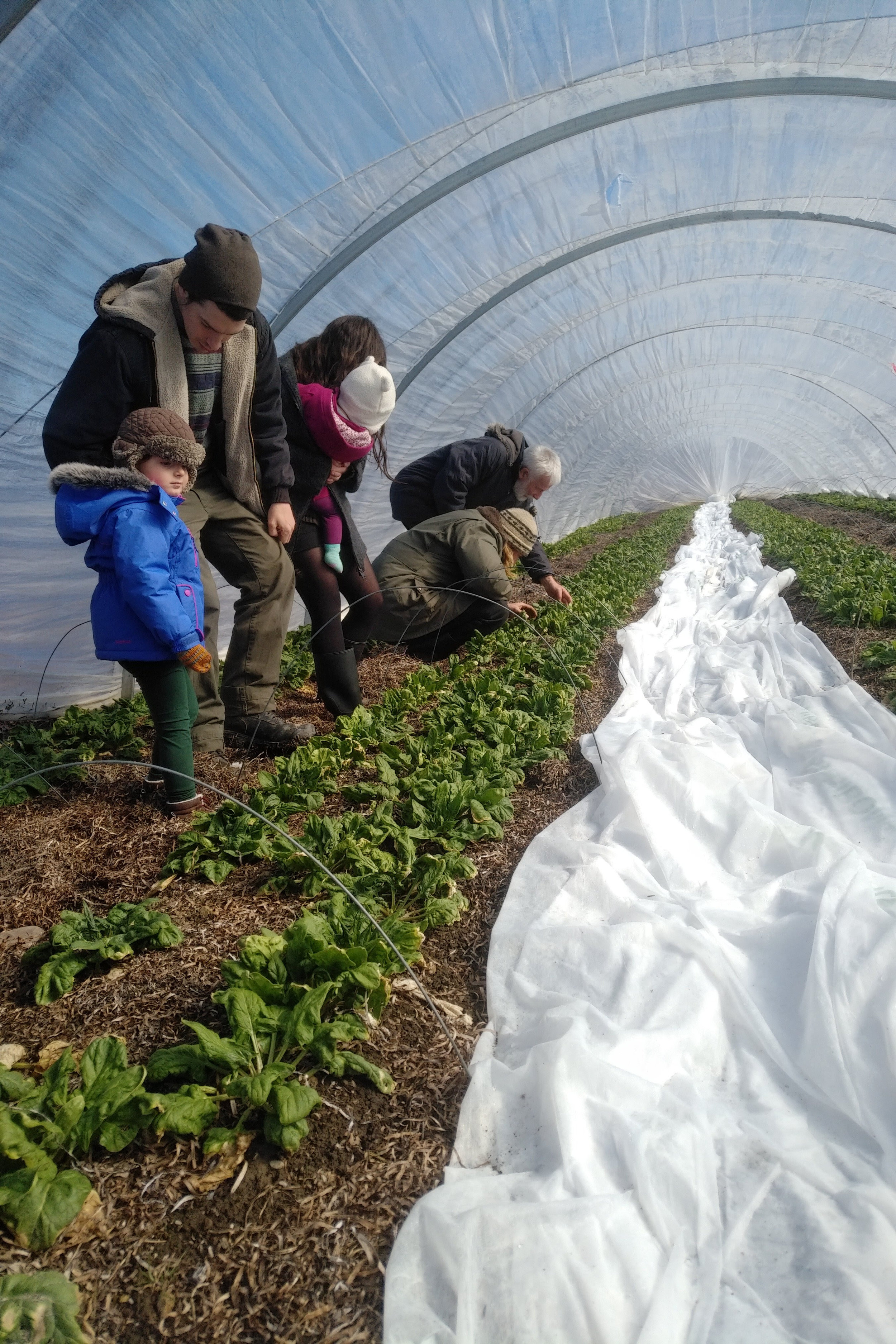 Julie, Maddy, Violet and Susie from Wild Willow Farm and Peter from Front Porch Farm tour Blue Heron Farm with Len