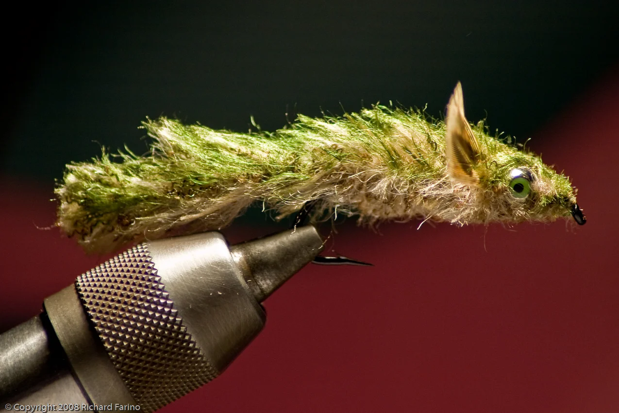 sculpin_5532.jpg