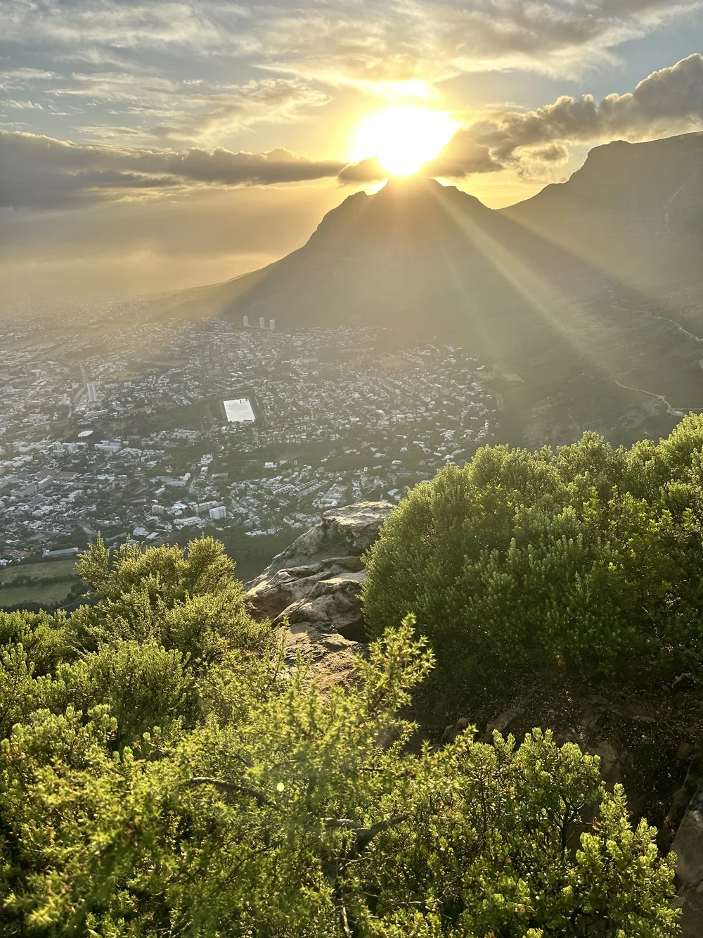Views from the top