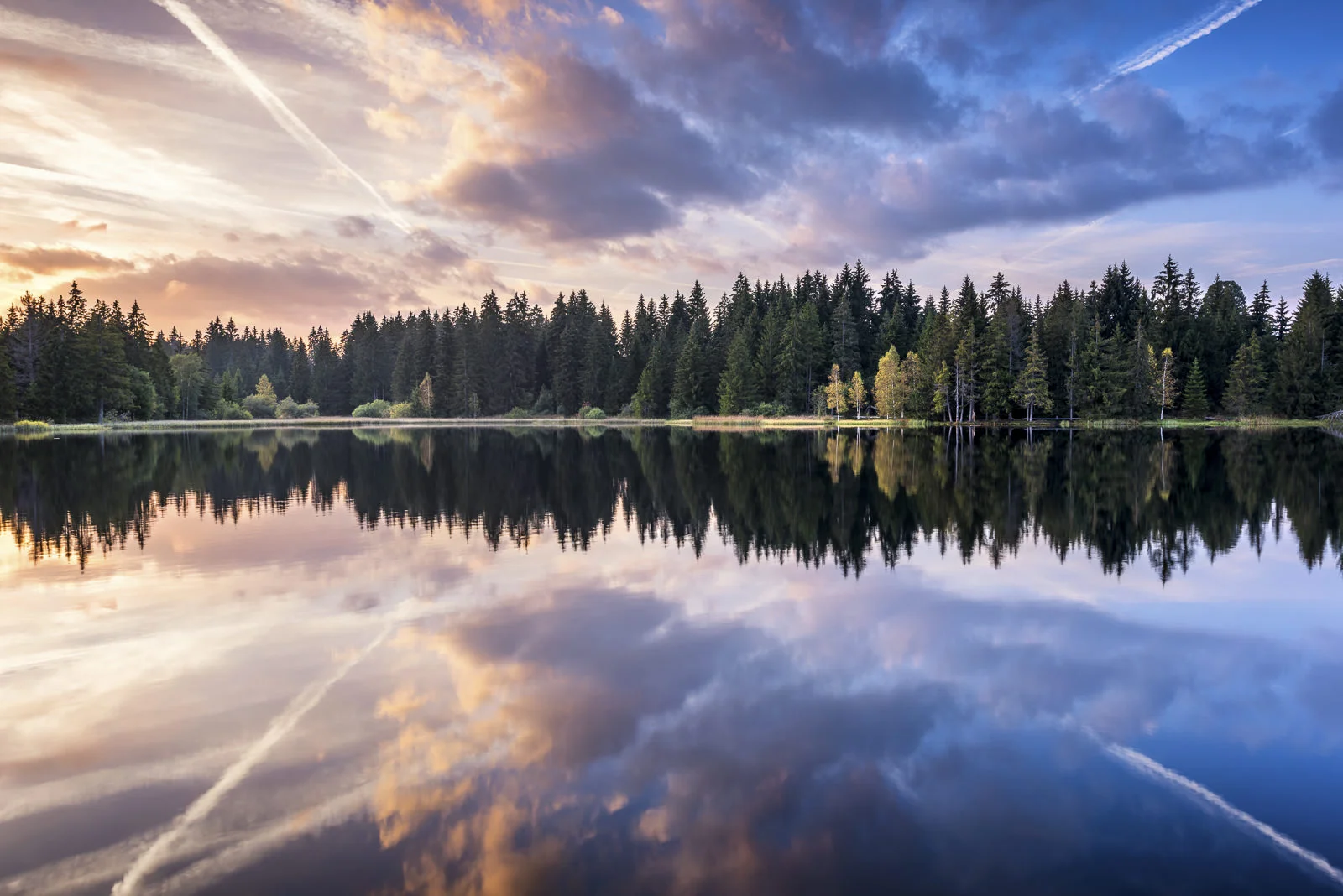 Etang de la gruere.jpg