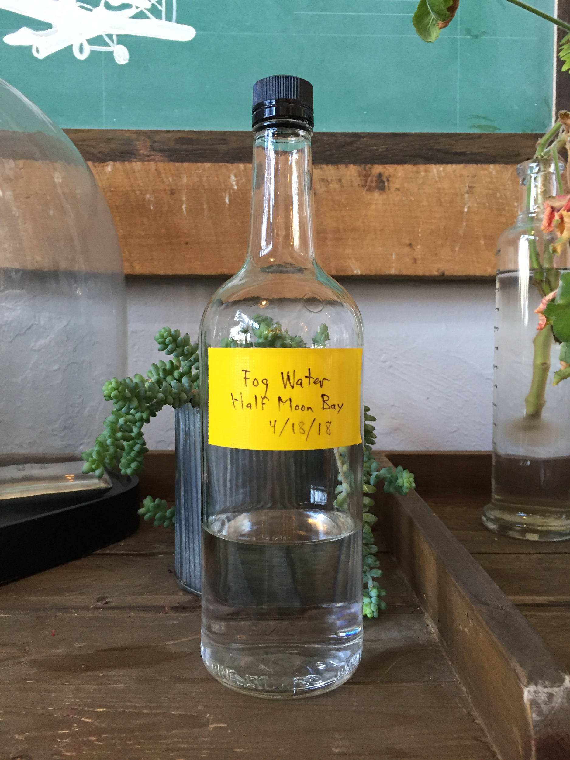 Water collected from northern California Fog used in Fog Point Vodka