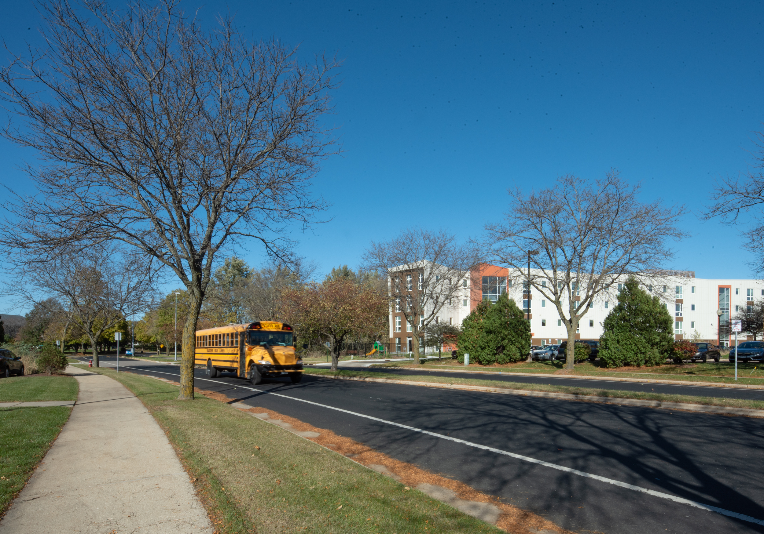  tree-lane_valerio-dewalt-train 