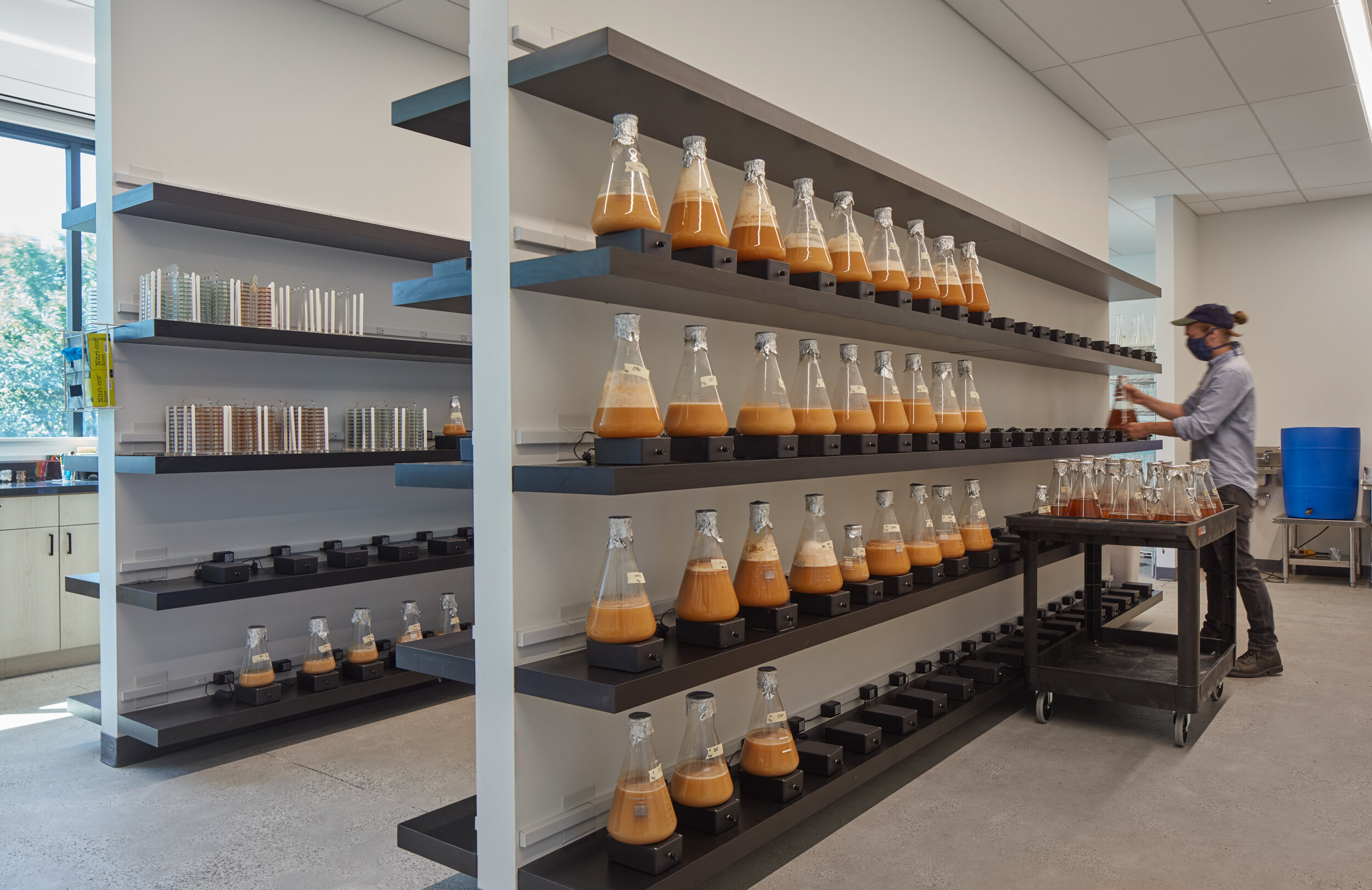 Omega Yeast facilities in Chicago by Valerio Dewalt Train