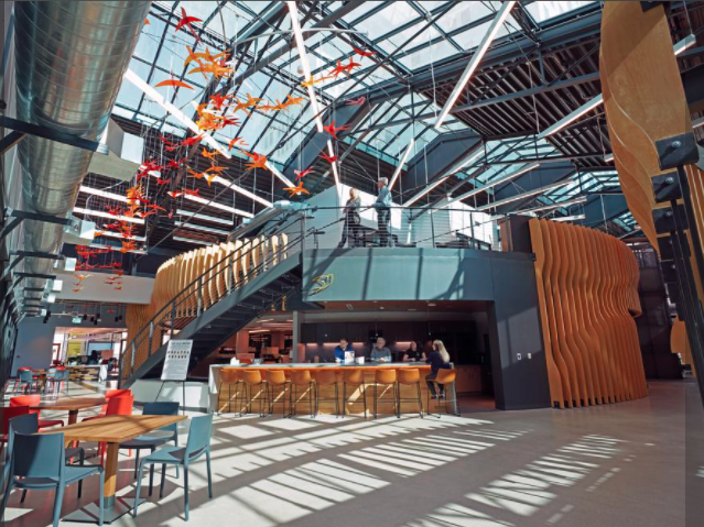 GRAEF – The Avenue Office Renovation: A reincarnation west of the river