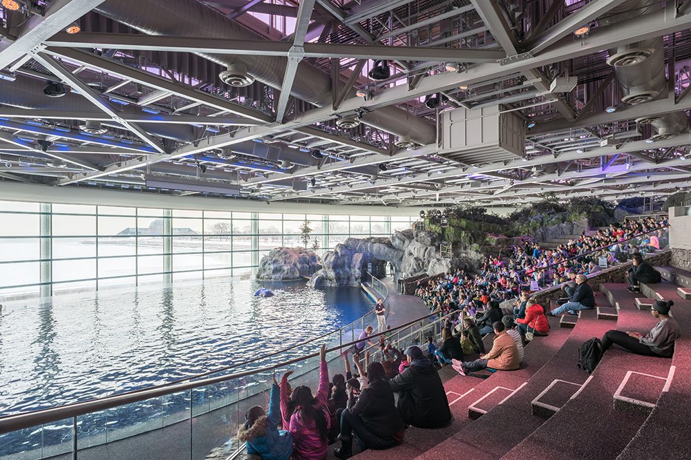 Shedd Aquarium Master Plan & Renovations