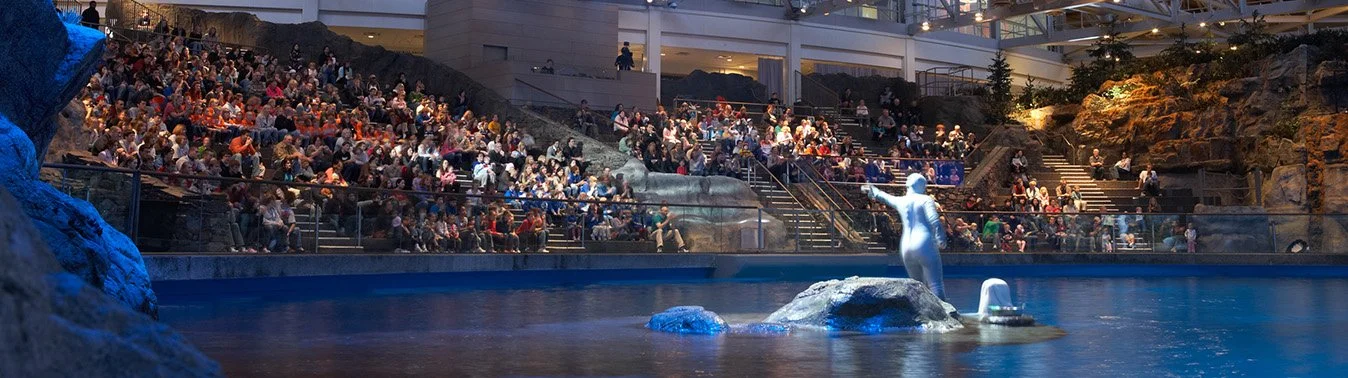 A crowd of people watches a demonstration at Shedd Aquarium's Oceanarium after it's architectural renovation.