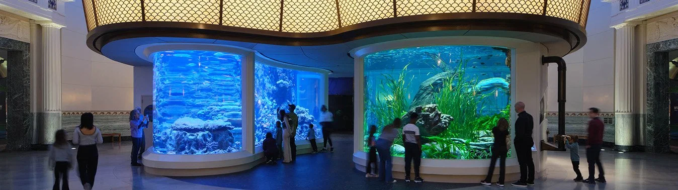 People looking at a dual habitat exhibit at Shedd Aquarium designed as part of the experience evolution, by aquarium architects Valerio Dewalt Train.