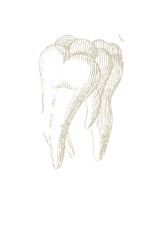 tooth4.png