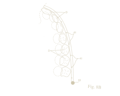 tooth8.png