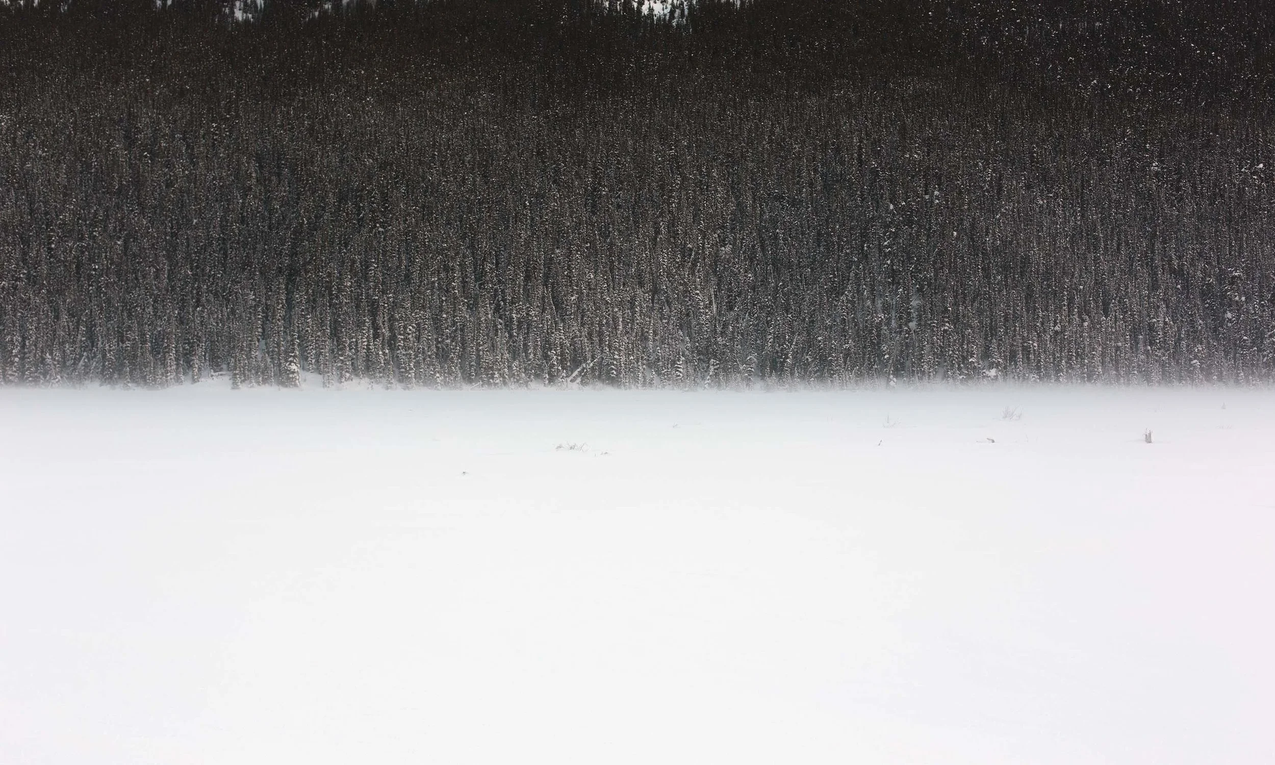 Untitled-1.jpg