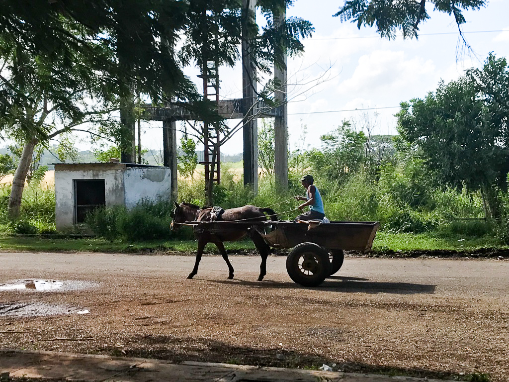 Once you get out of the city, horse and buggy were very common