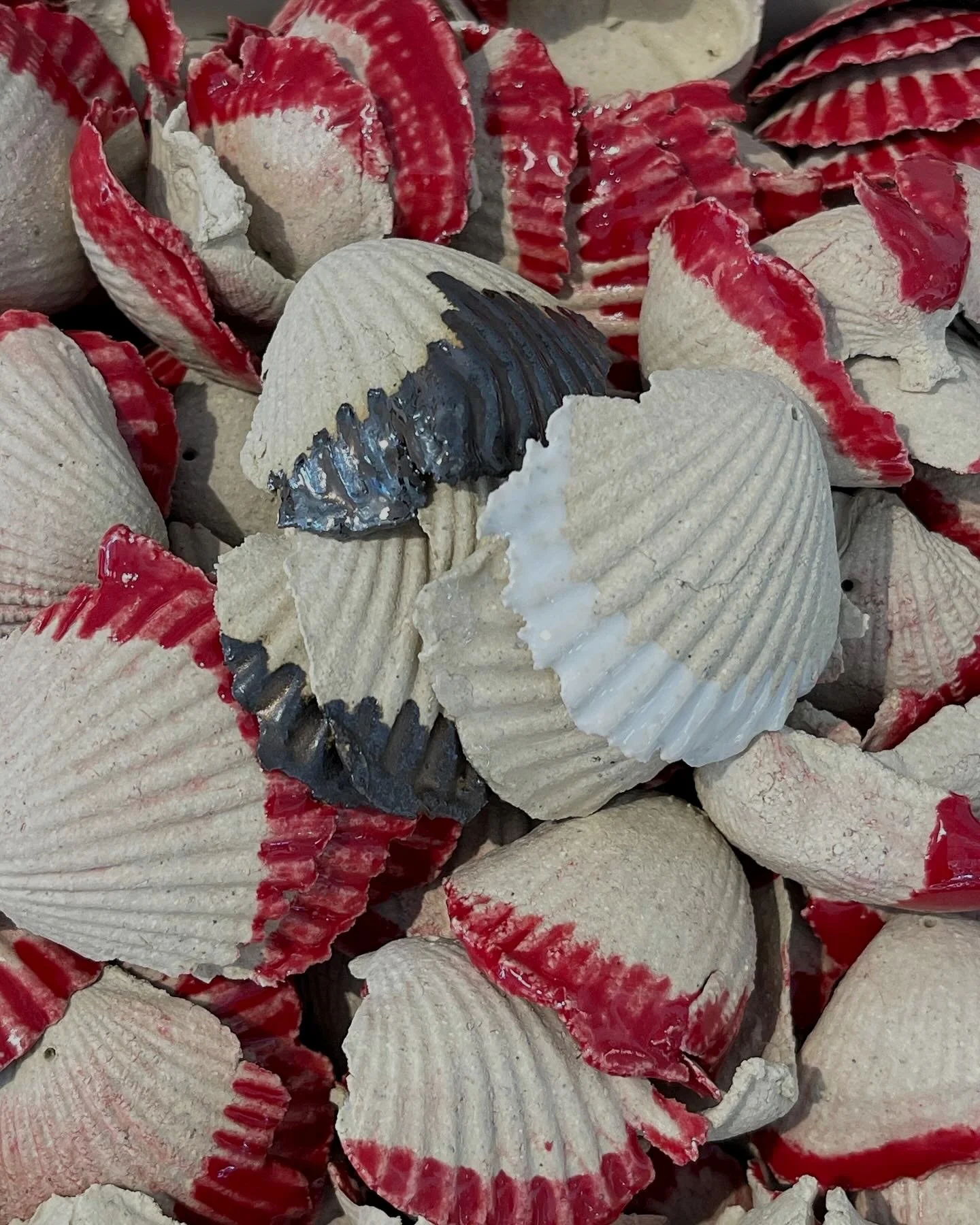 Shellstudies.jpg