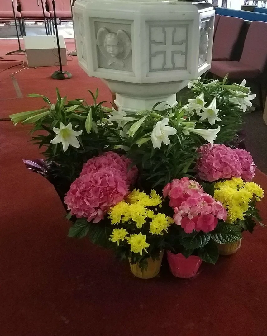 Environment Easter 2018