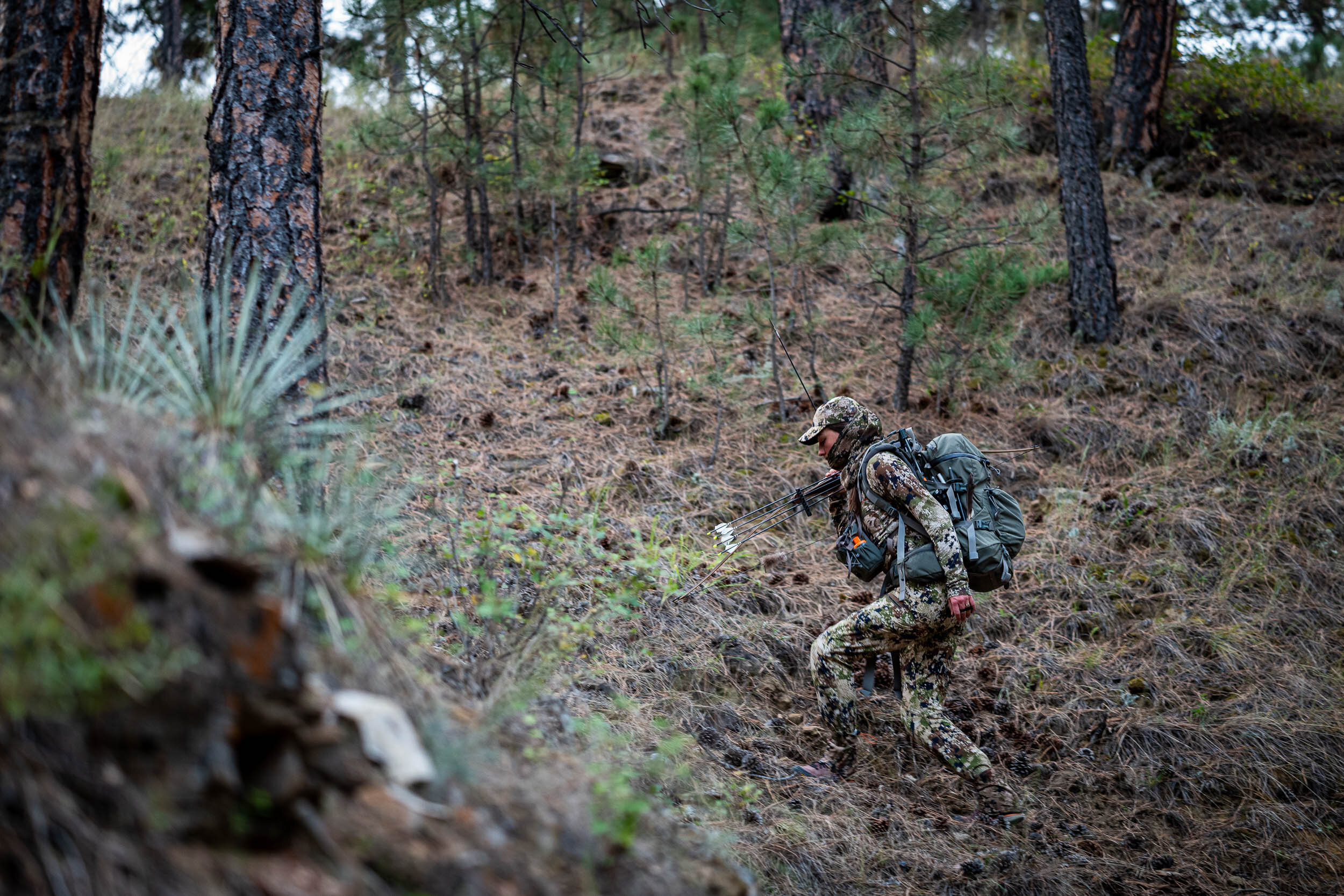 mystery ranch beartooth
