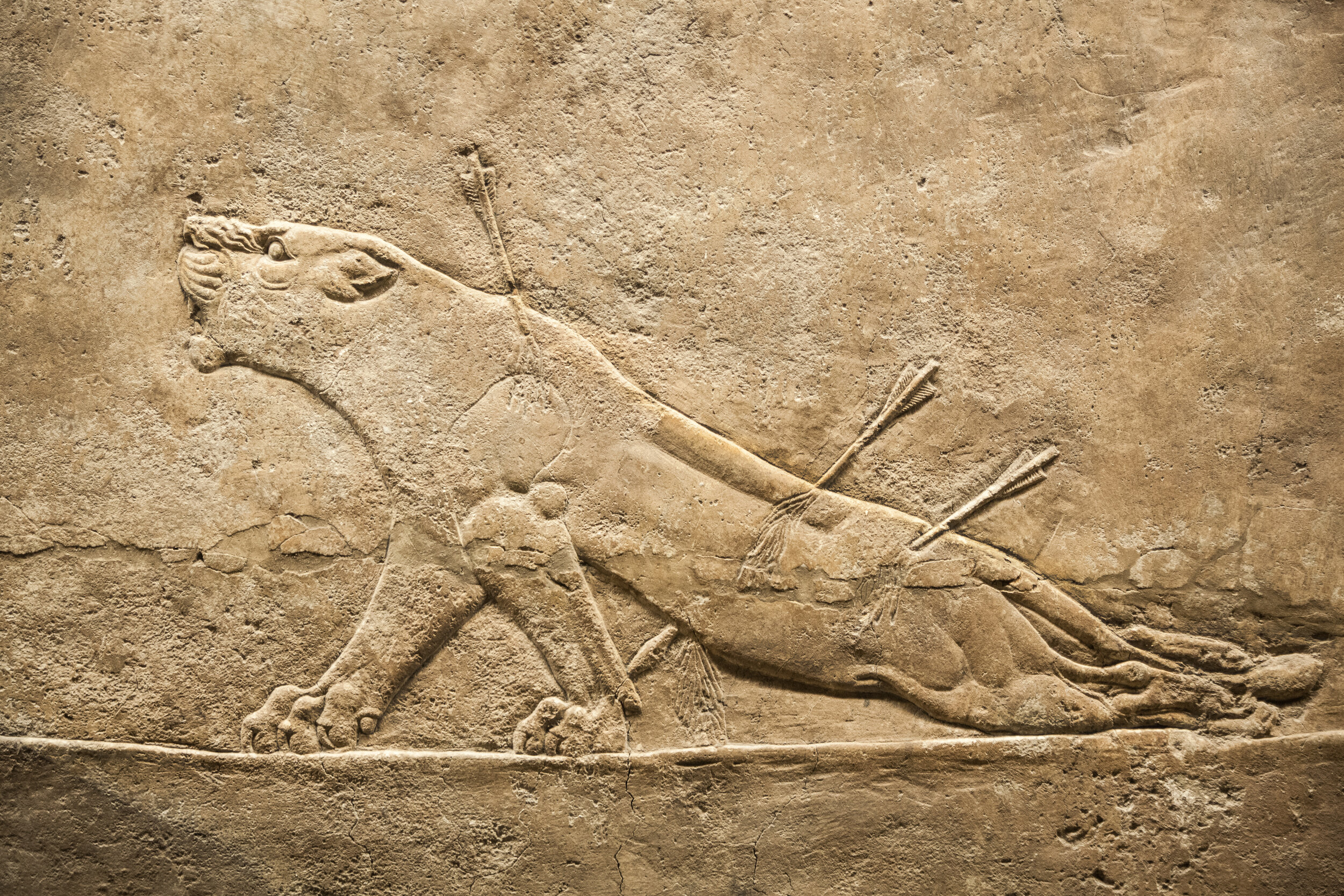 Conservation Visions Inc. - British museum. Hunting, relief from Palace of Assurbanipal in Nineveh, Assyria_Original.jpg