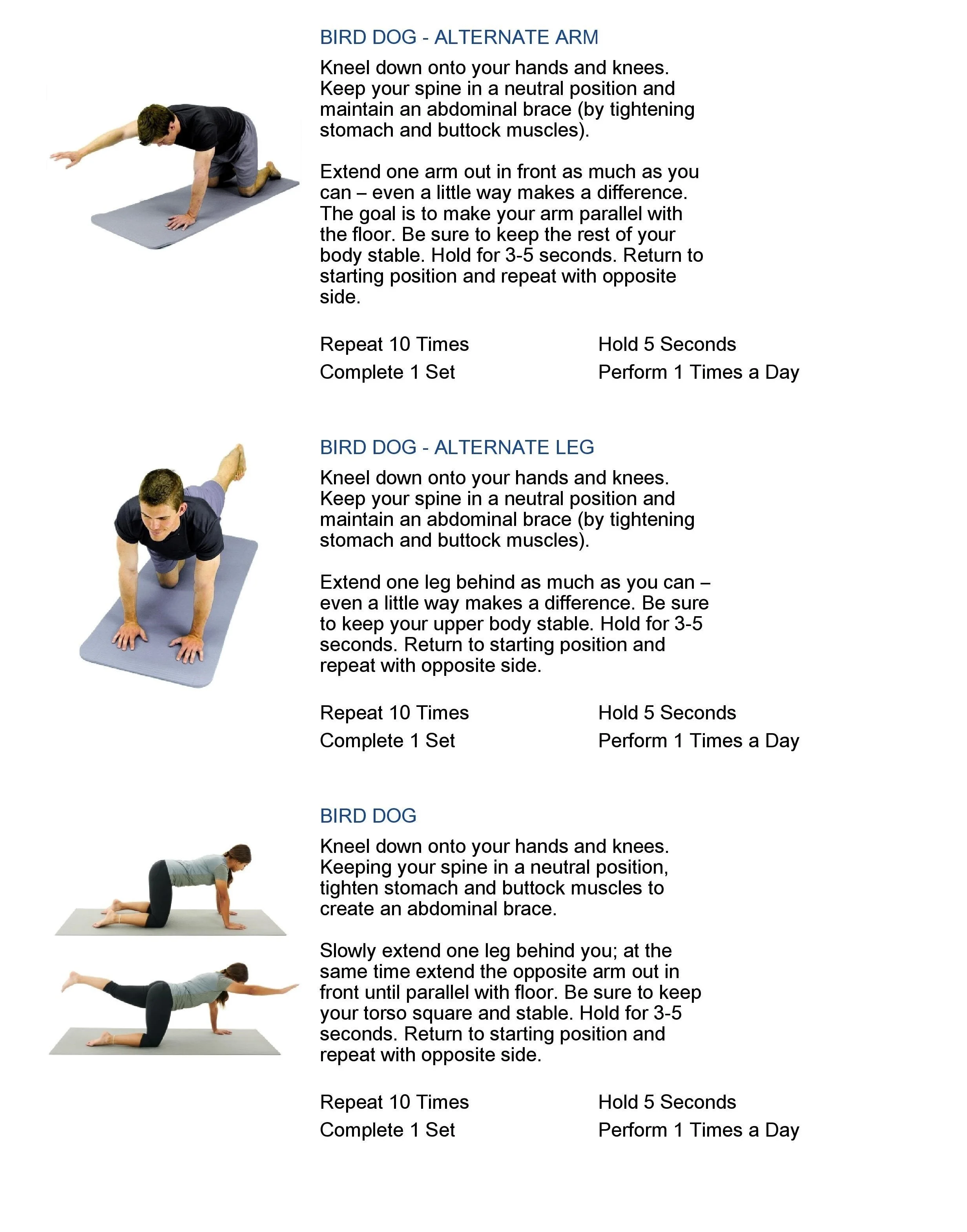 Strengthen Your Core So Your Back s Not Sore Bird Dog Dr Sean Strengthen Your Core So Your Back s Not Sore Bird Dog Dr Sean