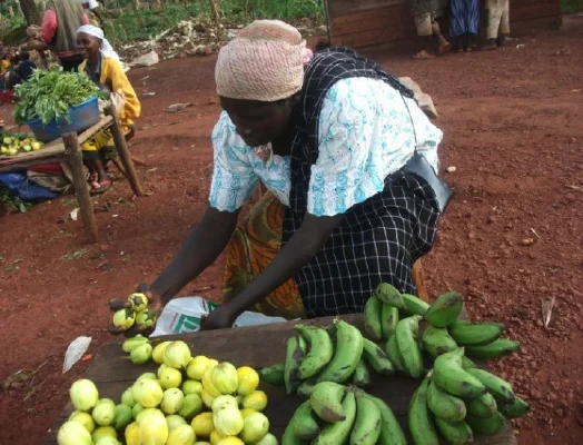 Banana entrepreneur in Burundi