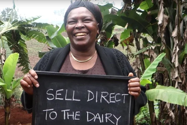 jane-dairy-cow.jpg