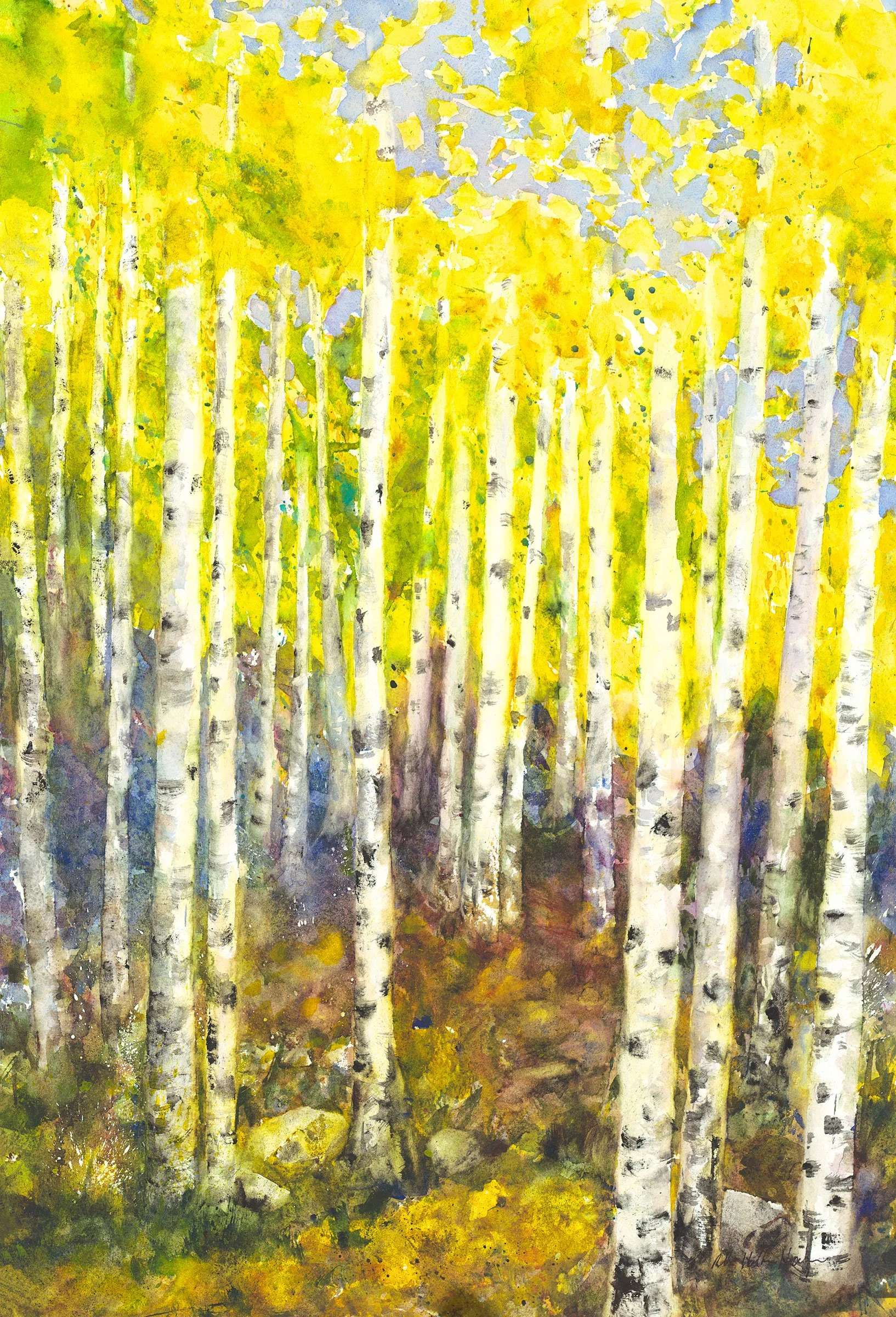 Tahoe Aspens