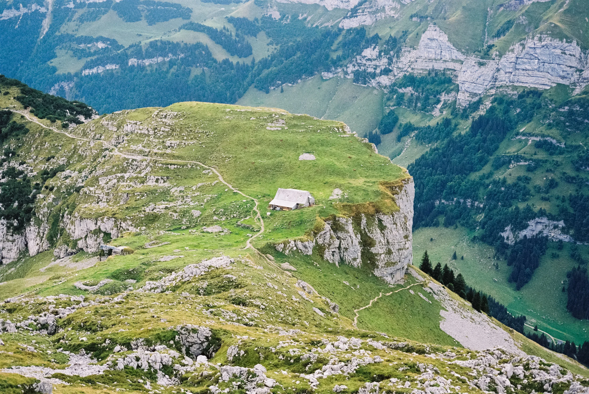 Export JPG NoResize-31.jpg