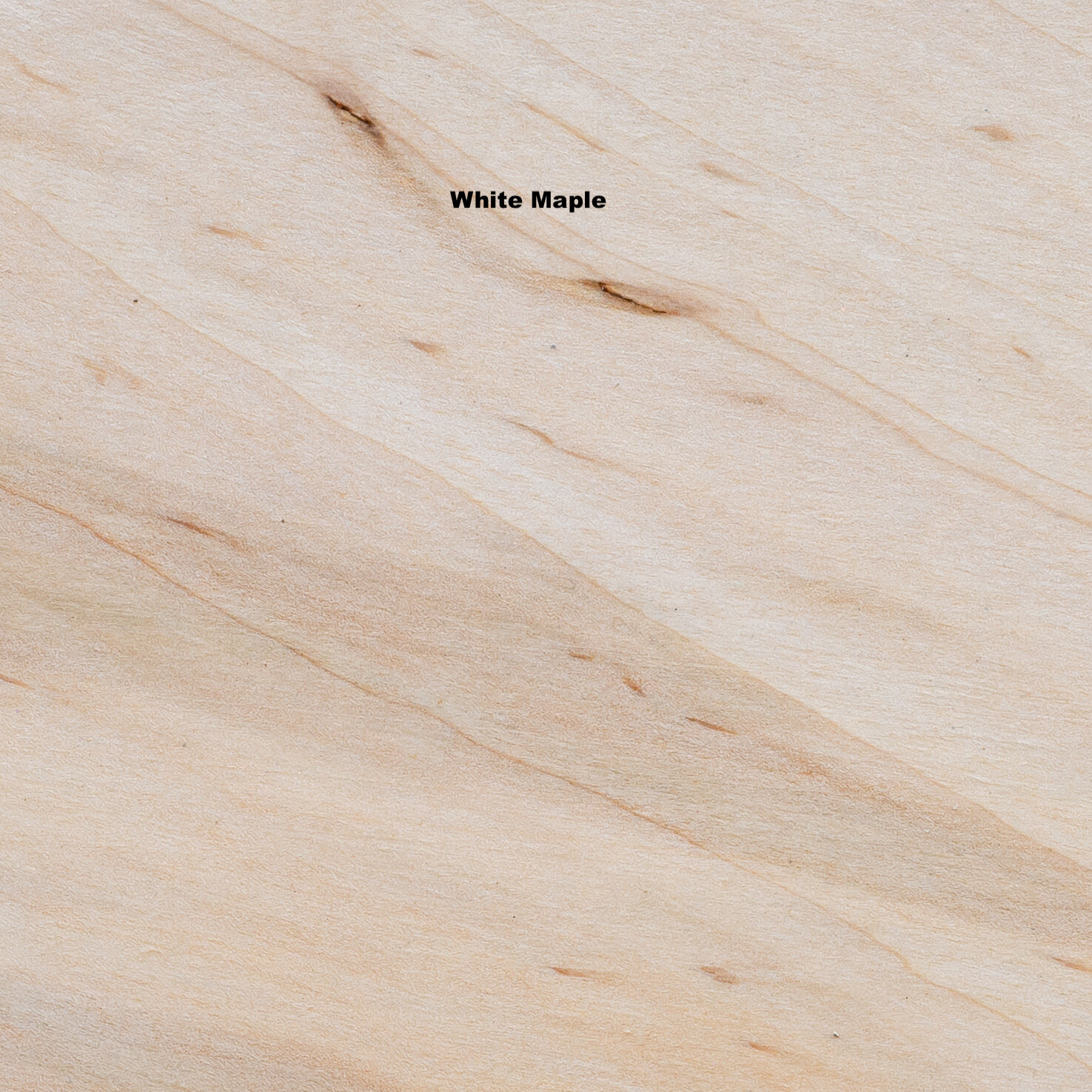White Maple.jpeg