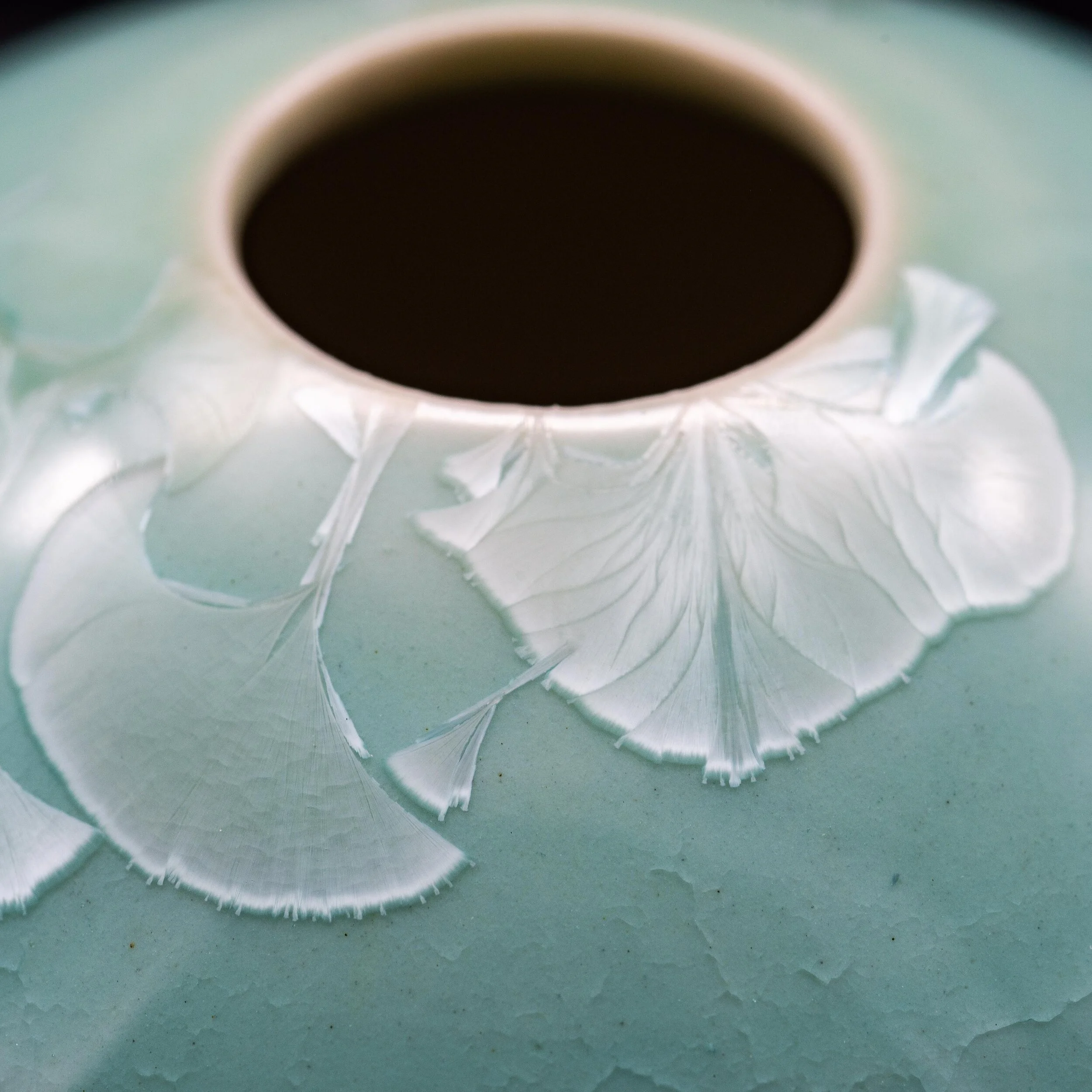 KC-41-19 Web Size-2.jpg