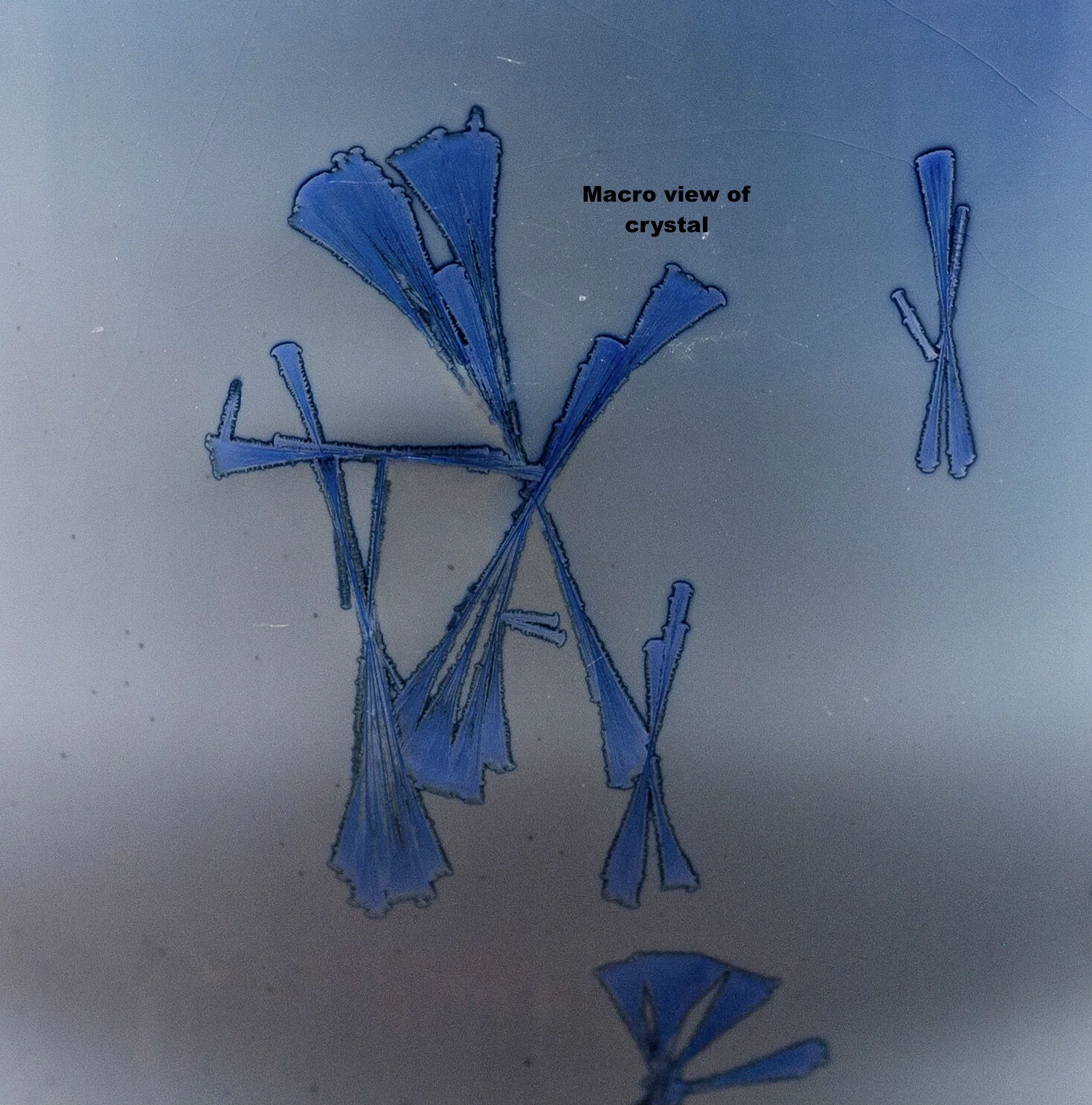 KC-49-20 Web-4 2.jpg